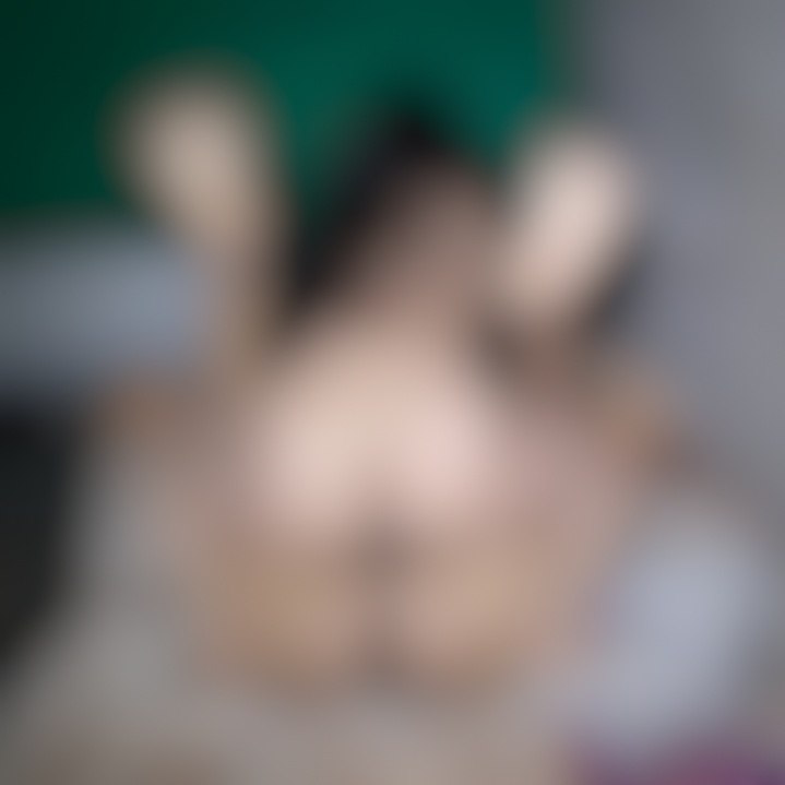 Clip 4